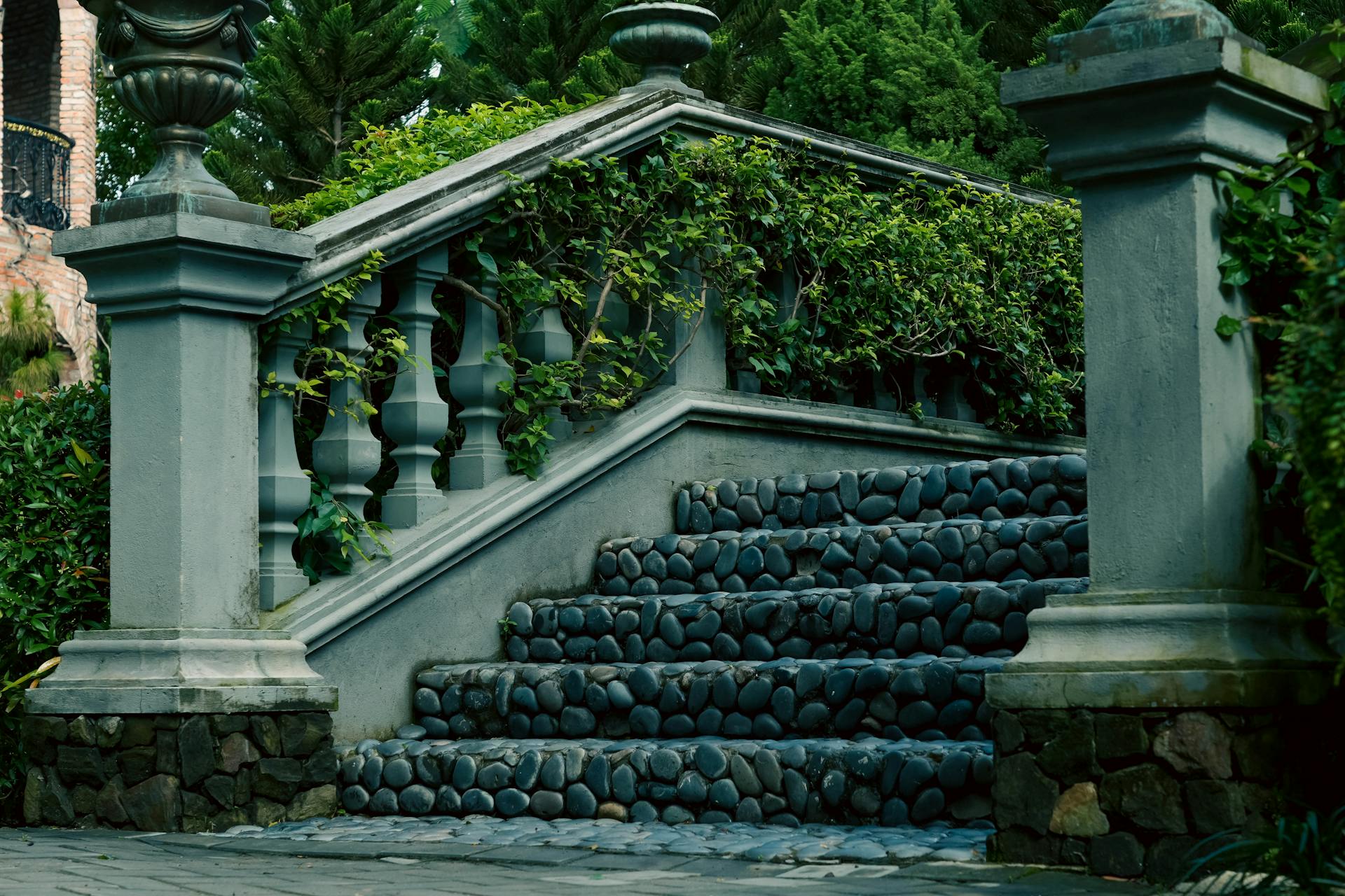 Rooftop garden design with native plants by Creatorboutique